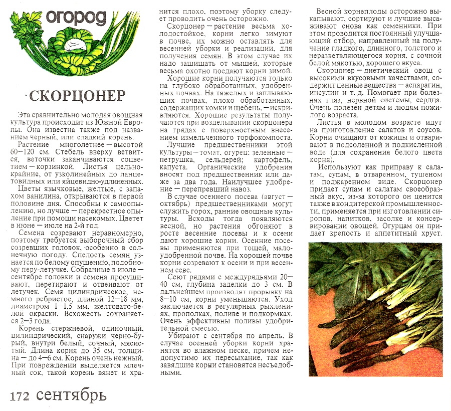 .    1987., .7,  , 1986 .