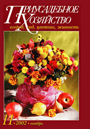 Приусадебное хозяйство №11, 2002г. "Поле, теплица или подвал?" Приусадебное хозяйство №11, 2002г. "Поле, теплица или подвал?"